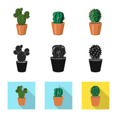 Isolated object of cactus and pot sign. Set of cactus and cacti vector icon for stock.