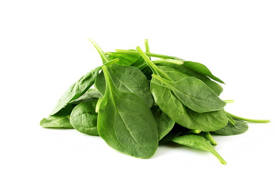 green spinach leaves isolated closeup on white background 