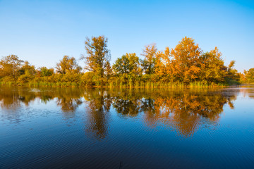 Obraz premium autumn landscape, quiet lake and red forest