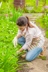 woman looks after a garden strawberry in a garden