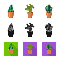 Vector design of cactus and pot sign. Collection of cactus and cacti vector icon for stock.