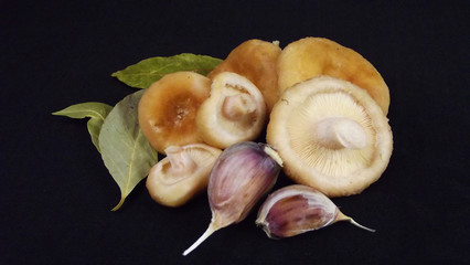 Delicious fresh mushrooms on black background.