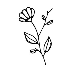 flower sketch icon. isolated object
