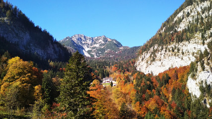 Fototapeta na wymiar europe panorama view park landscape alps mountains blue sy background spring forest white snow stock photo