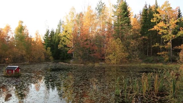 Gorgeous autumn landscape with view of pond surrounded with colorful trees with litle bird house on water. Beautiful nature backgrounds.
