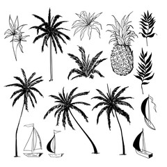 Set of  vector  beautiful hand drawing artistic tropical and leves with exotic forest.