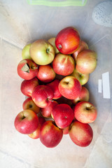 Red ripe apples lie in white container. View from above