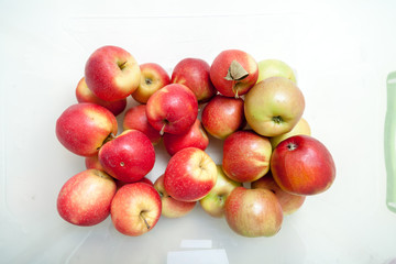 Red ripe apples lie in white container. View from above