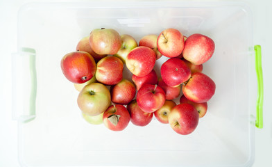 Red ripe apples lie in white container. View from above