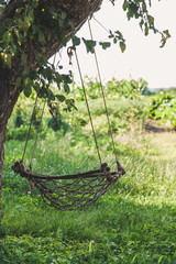 Suspended self-made swing weigh on tree