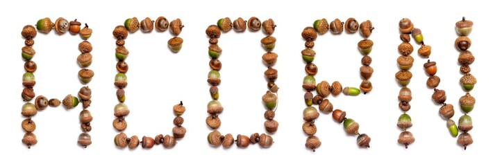 Word acorn is laid out of acorns