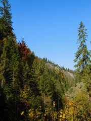 Pieniny