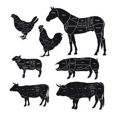 Monochrome diagram guide for cutting meat. Animal silhouettes with cut lines. Beef, horse meat, lamb, pork and chicken. Vector illustration.