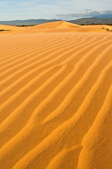 Medanos de Coro Venezuela