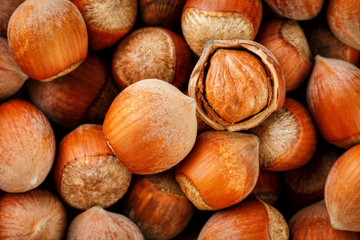 Hazelnuts. Stack of hazelnuts. Food background. Hazelnut background. Hazelnuts in shells background
