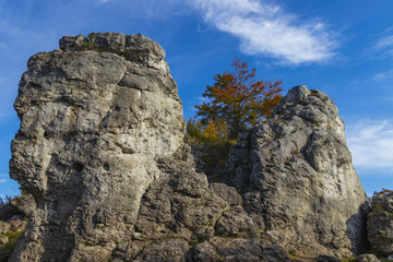 Fototapeta premium Golden Poland Autumn, mountain Zborow, Poland