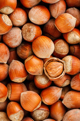 Hazelnuts. Stack of hazelnuts. Food background. Hazelnut background. Hazelnuts in shells background
