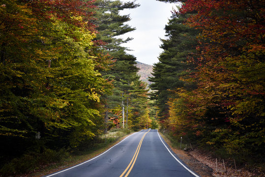 Fall foliage road in New England
