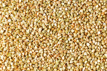 raw green buckwheat background, organic vegan food. Texture