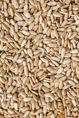 Sunflower seeds background. Macro seed, Organic vegan food.