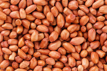 Peanuts, for background or textures. Uncleaned inshell peanuts.