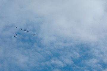 blue sky and cloud for natural background