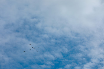 blue sky and cloud for natural background