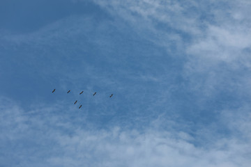blue sky and cloud for natural background