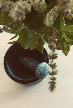 pillon et basilic citron