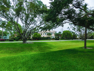 The road and palm trees at Naples, Florida