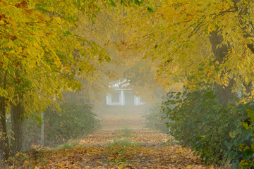 Autumn Colors Path to Old House