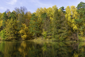 Autumn, forest on the background of the pond