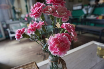 カーネーション