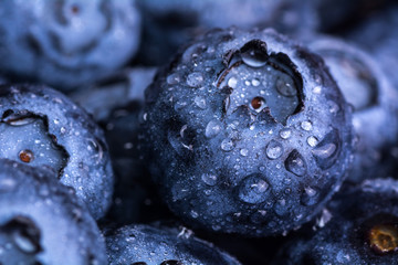 Fresh ripe blueberries with drops of dew. Berry background. Macro photo.