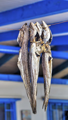 Dried fish hanging on a rope closeup