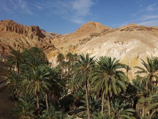 Fototapeta na wymiar view of stony desert, mountain oasis of red color, half-destroyed houses