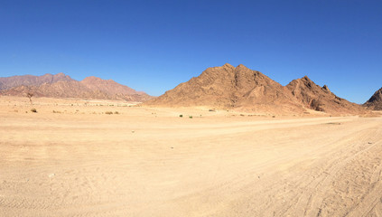 Fototapeta na wymiar desert background landscape