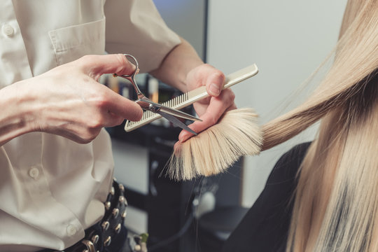 Hairdresser Is Cutting Long Hair In Hair Salon