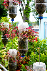 recycle plastic bottles as flower pots
