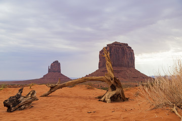 Monument Valley con un triste cielo nuvoloso e plumbeo