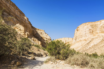 Fototapeta na wymiar Makhtesh Ramon crater mountains park view with trekking path - geological site in Negev desert