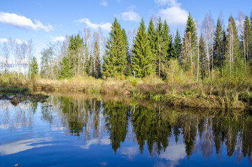 Fototapeta na wymiar In the blue river reflection of the forest and white clouds