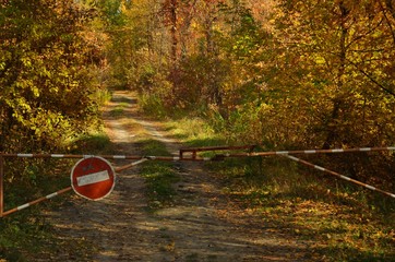 Authentic autumn photo trail in the autumn forest.  barrier on the trail. Autumn, autumn colors