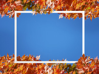 White rectangle frame with background of orange Autumn leaves and blue sky.