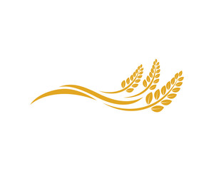 Vector Growing Plant Agriculture wheat Grain Sign Symbol Icon Logo Template Design Inspiration