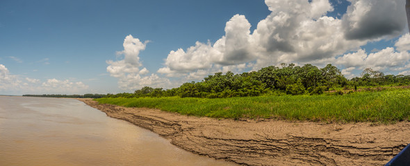 Panoramic view for the Amazon