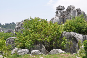 Stone Forest. Shilin Park, China