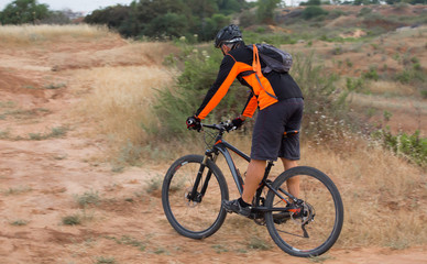 Obraz premium mountain biker ride in the filed