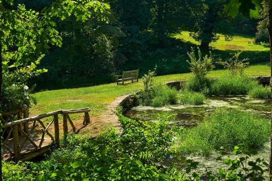 Sunny garden pond