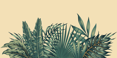 Jungle composition tropical leaves pattern